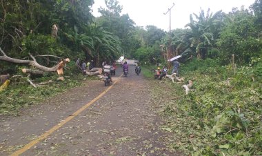 Personil-Polsek-Alor-Timur-Laut-dan-Warga-Bersihkan-Pohon-Tumbang-Yang-Menutupi-Jalan