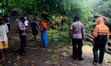 Personel-Polres-Alor-Bantu-Evakuasi-Pohon-Tumbang-dan-Tanah-Longsong