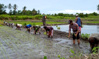 Sinergitas-TNI-POLRI-untuk-ketahanan-pangan-di-Alor