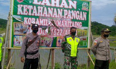 TNI-POLRI-Dukung-Kegiatan-Ketahanan-Pangan