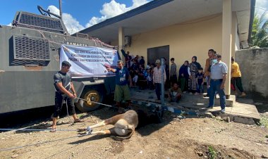 Hari-Raya-Idul-Adha-1443-H,-Polres-Alor-Qurban-7-Ekor-Sapi