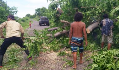 Polsek-Pantar-Bantu-Bersihkan-Pohon-Tumbang-Di-Kampung-Watupukong-Kec.-Pantar-Kab.-Alor