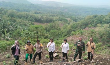 Kapolsek-Pantar-Hadiri-Penanaman-Bibit-Jagung-Hibrida-di-Desa-Baolang-untuk-Dukung-Swasembada-Pangan