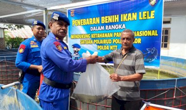 Penebaran-Benih-Ikan-Lele,-Satuan-Polairud-Polres-Alor-Dukung-Ketahanan-Pangan-Nasional