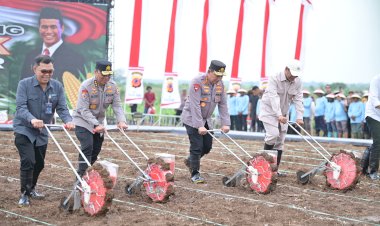 Permudah-Petani-Jual-Hasil-Panen,-Polda-Kalbar-dan-Pemkab-Bengkayang-Bangun-Pabrik-Jagung