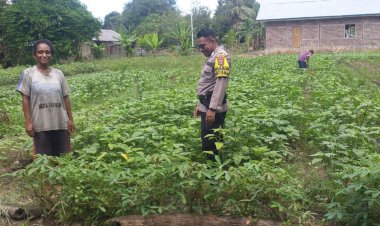 Bhabinkamtibmas-Desa-Petleng-Sambangi-Kebun-Sayur-dalam-Rangka-Dukung-Ketahanan-Pangan