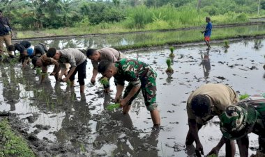 Personel-Polsek-Abad,-TNI-dan-Kadis-Pertanian-Hadiri-Penanaman-Padi-di-Desa-Pailelang