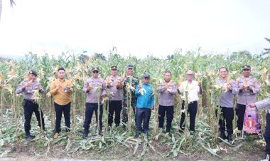 Polres-Alor-Dukung-Panen-Raya-Perdana-Jagung-Serentak-Nasional