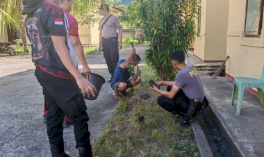 POLRES-ALOR-TANAM-ANAKAN-POHON-DI-POLSEK-ALOR-BARAT-DAYA,-WUJUD-NYATA-GERAKAN-INDONESIA-ASRI-HARI-BHAYANGKARA-KE-80