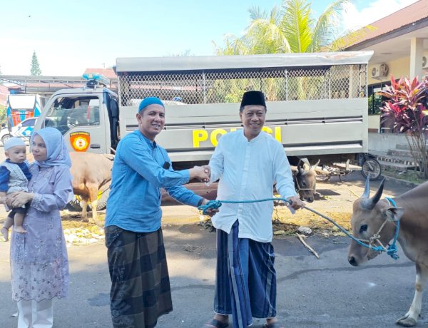 Polres Alor Sembelih 6 Ekor Sapi Kurban pada Hari Raya Idul Adha 1447 H, Daging Dibagikan kepada 700 Jiwa