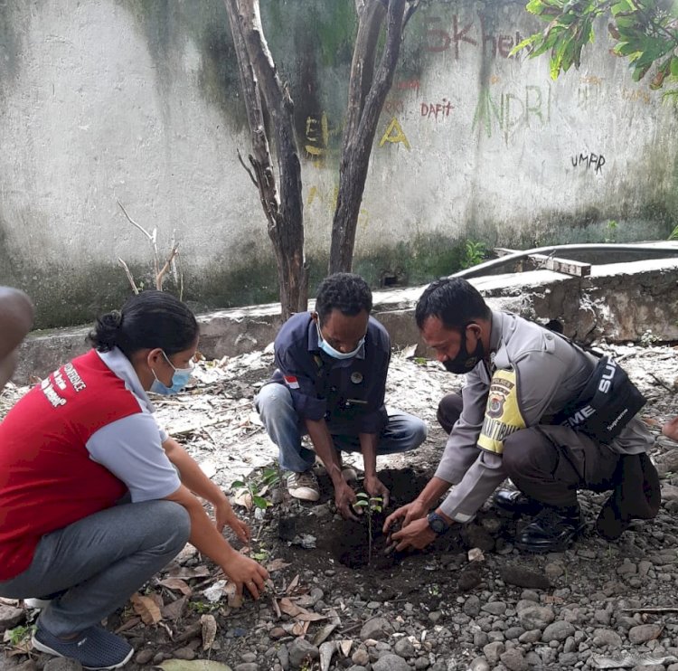 Bhabinkamtibmas Kec. ATU Polres Alor Lakukan Penghijauan Di penghujung tahun 2020