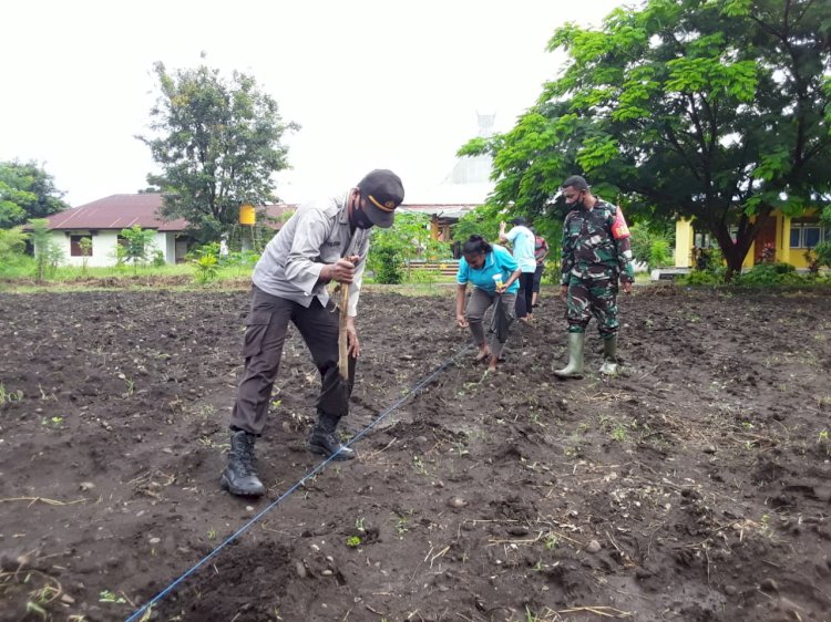 Sinergitas TNI -Polri untuk Ketahanan Pangan