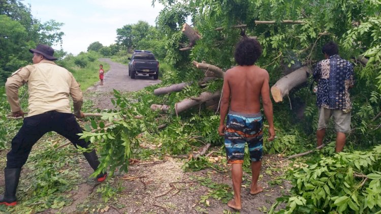 Polsek Pantar Bantu Bersihkan Pohon Tumbang Di Kampung Watupukong Kec. Pantar Kab. Alor