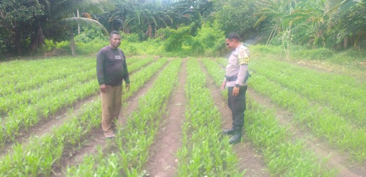 Bhabinkamtibmas Desa Petleng Laksanakan Pengecekan Tanaman Kangkung di Lahan Pertanian Warga