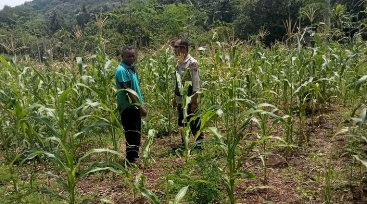 Babinkantibmas Polsek ATL Sambangi Lahan Ketahanan Pangan di Desa Kamot, Alor