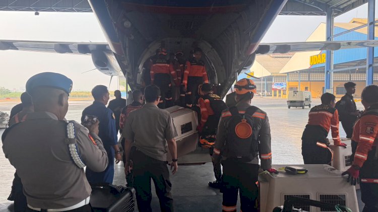 Terus Bergerak Cepat, Polri Kembali Kirim K9, Obat-obatan dan 3.4 Ton Bantuan ke NTT*