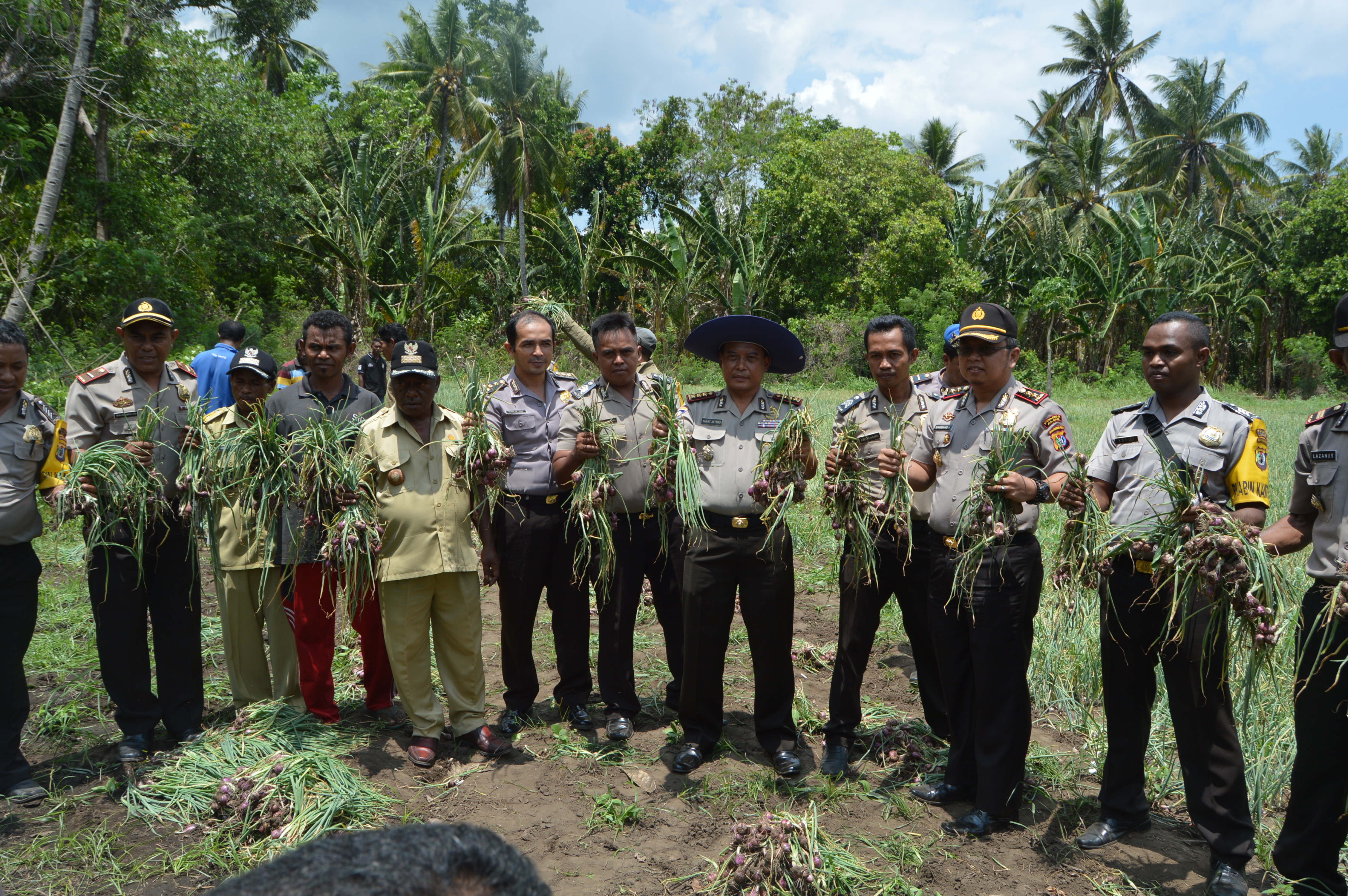 DIR BINMAS POLDA NTT MENGHADIRI PANEN RAYA BAWANG MERAH