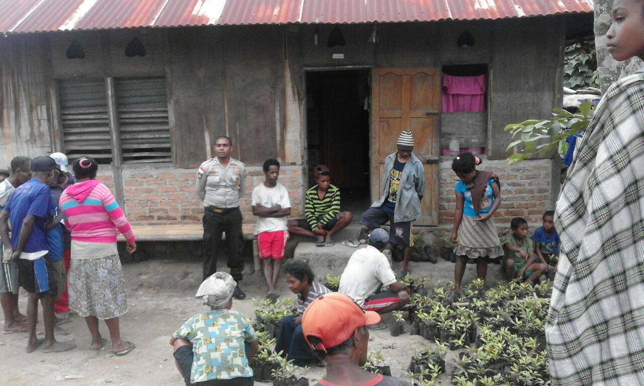 BHABINKAMTIBMAS POLSEK ATU RESOR ALOR DAMPINGI PEMBAGIAN BANTUAN ANAKAN CENGKEH