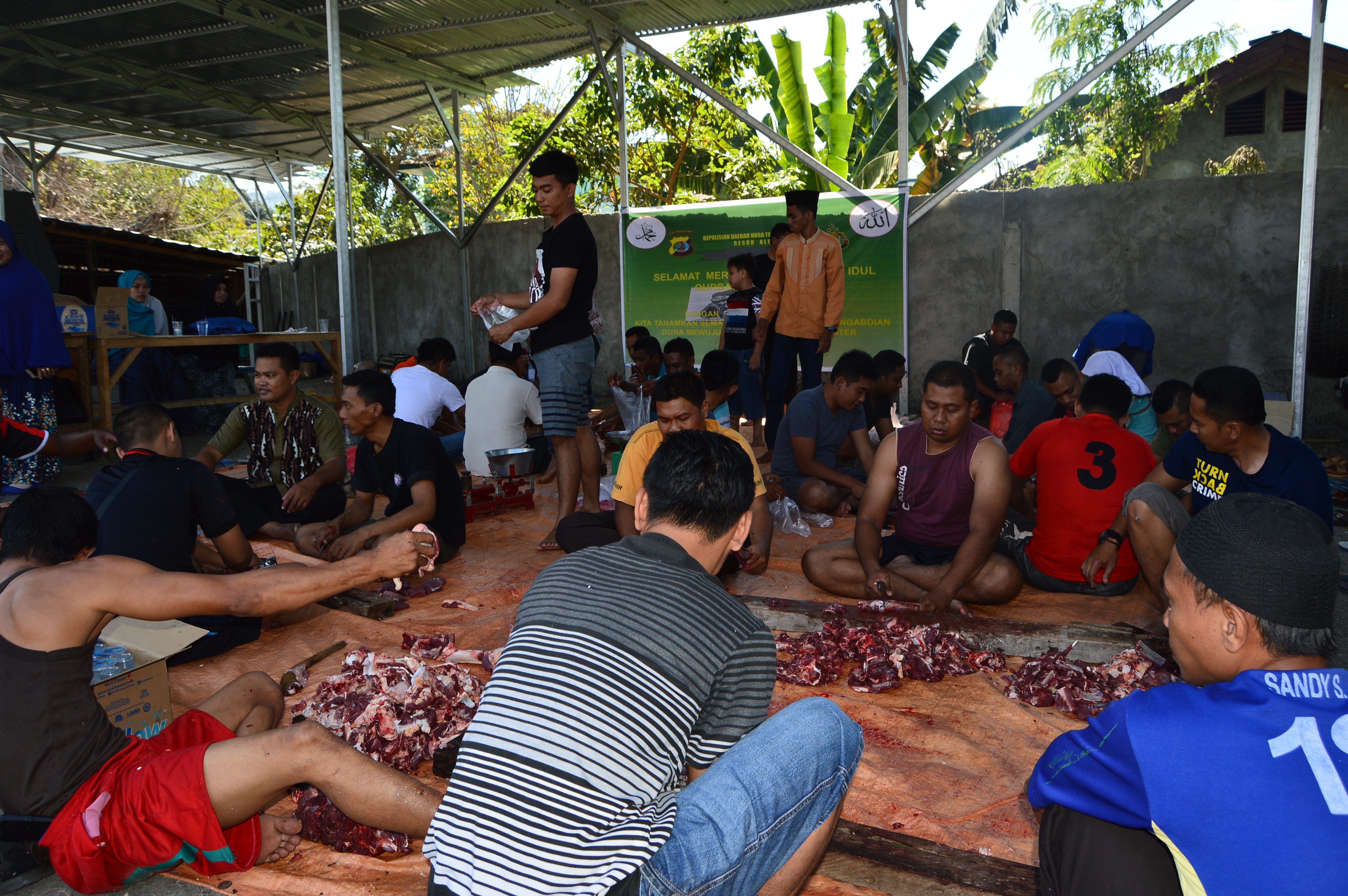 Polres Alor Qurban 5 Ekor Sapi